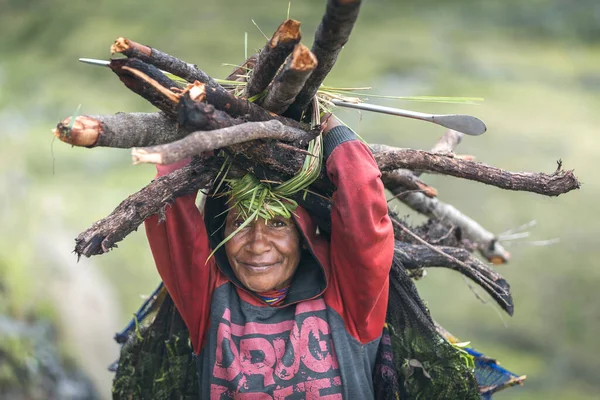 Village Ugem Vallée Baliem Papouasie Occidentale Indonésie Février 2016 Femme — Photo