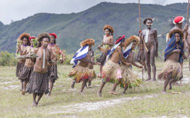 Baliem Vadisi, Batı Papua, Endonezya, 15 Şubat 2016: Baliem Vadisi 'nin dani kabilesi halkı geleneksel kıyafetleriyle