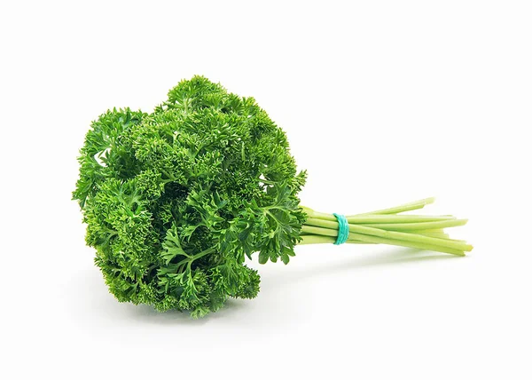 Bunch of fresh green curly parsley. Isolated on white background — Stock Photo, Image