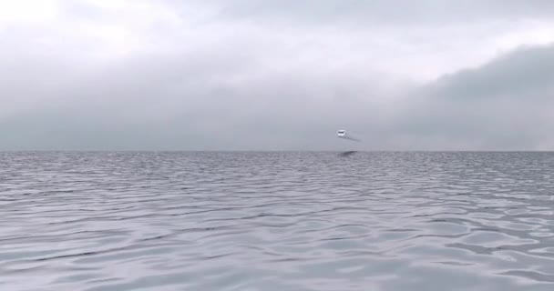 Futuristische Trein Vliegt Het Wateroppervlak Een Luchtroute Vliegtuig Van Toekomst — Stockvideo