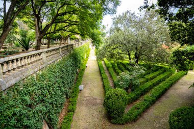 Belem, Lizbon, Portekiz 'deki Botanik Bahçesi' nde pembe çiçekler sergileniyor. 4 Kasım 2025 'te yemyeşil ağaçlar ve geometrik çalılar tarihi manzarayı doldurur..
