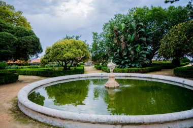 Portekiz, Lizbon 'da bir bahçede yontulmuş taş kenarları olan dairesel bir çeşmede yüzen bir erkek ve dişi yaban ördeği. Fotoğraf: 4 Kasım 2025.