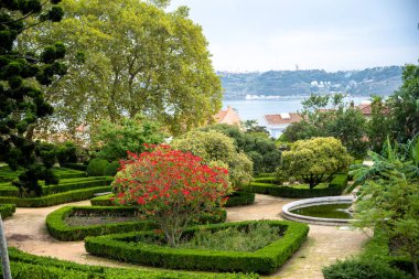 Lizbon 'daki Ajuda Botanik Bahçesi' ndeki geometrik çitlerle çevrili canlı çiçekli ağaç ve çeşme bereketli yeşillik ve tarihi cazibeyle huzurlu bir manzarayı gözler önüne seriyor..