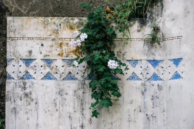 Portekiz 'in Sintra, Lizbon Bölgesi' nde 16 Ekim 2025 'te etrafı yeşilliklerle çevrili karmaşık mavi ve turuncu Portekiz fayansları ve yontulmuş meleklerle dolu taş çeşme..