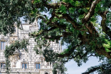 Quinta da Regaleira 'nın neo-gotik sarayı 16 Ekim 2025' te Sintra, Lizbon Bölgesi, Portekiz 'deki ağaçlar tarafından kısmen saklandı..