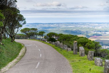 Portekiz 'in batısındaki geniş yeşil bir vadide çam ağaçları ve taş işaretlerinin yanında dar bir tepe yolu kıvrımlıdır..