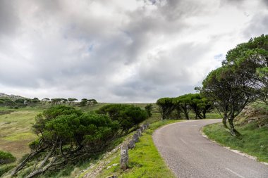 Çam ağaçlı kayalık yamaçlar Portekiz 'in batısındaki ağır bulutların altında bir dağ vadisine uzanır..