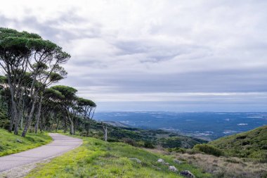 Vadinin yukarısındaki yeşil bir yamaçtaki çam ağaçları arasında asfalt bir dağ yolu kıvrılır..