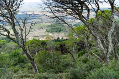 Alenquer Portugal 29 Kasım 2025 Bir kırsal köy ve tarım arazisi dağ sırtı çam ağaçları arasında görüntülenir