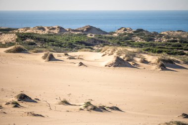 Geniş sahil kum tepeleri ve seyrek bitki örtüsü Guincho Cascais Lizbon 'daki Atlantik Okyanusu' na bakıyor..