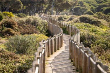 Ahşap çitler, Guincho Cascais Lizbon yakınlarında bitki örtüsü ve yuvarlanan kum tepecikleri boyunca uzanır..