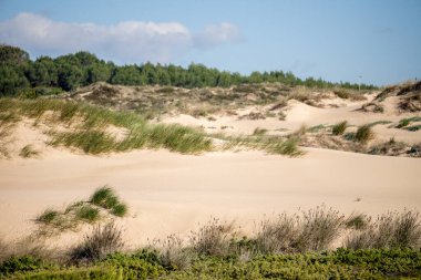 Guincho Sahili Cascais Lizbon yakınlarında kışın Portekiz 'de çimlerle çevrili sığ bir kum havzası..