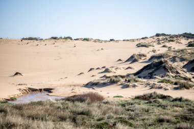 Guincho Beach Cascais Lizbon yakınlarında kışın ortasında etrafa saçılmış kum tepeleri....