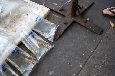 Bangkok Tayland 27 Ocak 2026. Chatuchak Hayvan Pazarı 'ndaki kaldırıma su ve küçük balıklarla dolu plastik torbalar konur..