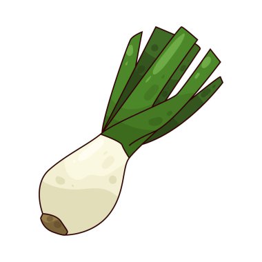  Scallion, ya da yeşil soğan, uzun yeşil saplı ve hafif soğanlı..