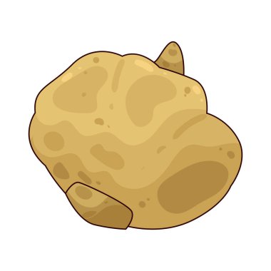 Jicama genellikle çiğ veya salatada yenen gevrek, tatlı bir sebzedir..