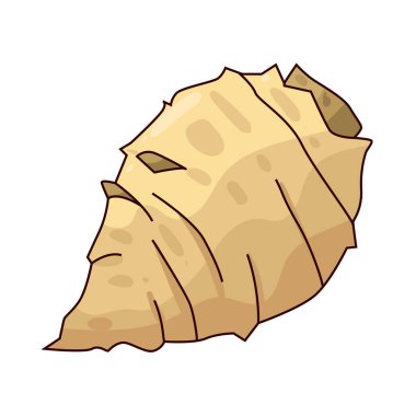 Sunchoke, ayrıca Kudüs enginarı olarak da bilinir, tatlı, fındık aromalı bir yumru..