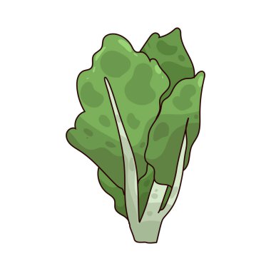 Çin brokoli, sık sık kızartılmış veya buğulanmış, kalın saplı ve biraz acı aromalı yapraklı bir yeşildir..