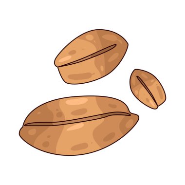 Fasulyeler, protein ve lif yönünden zengin pek çok çeşidi olan yenilebilir tohumlardır..