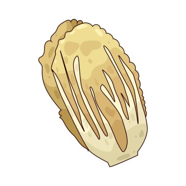 Çin lahanası hafif yeşil yapraklı bir sebzedir. Çorbalarda ve kızartmalarda kullanılır..