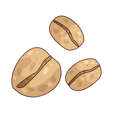 Fasulyeler, protein ve lif yönünden zengin pek çok çeşidi olan yenilebilir tohumlardır..