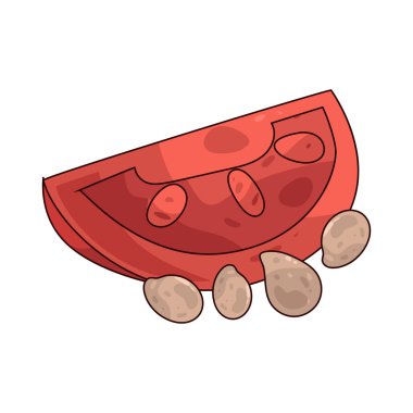 Domates tohumu yeni domates ekmekte kullanılan küçük bir tohumdur..