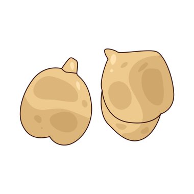 Nohut veya garbanzo fasulyesi humus, köri ve salatada kullanılan yuvarlak bir baklaktır..