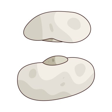 Donanma fasulyesi, genellikle fırında fasulye ve çorbalarda kullanılan küçük bir fasulyedir..