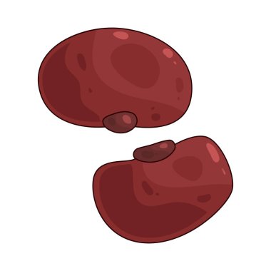 Böbrek fasulyesi, acı biber ve güveçte kullanılan sert bir dokusu olan büyük kırmızı bir fasulyedir..