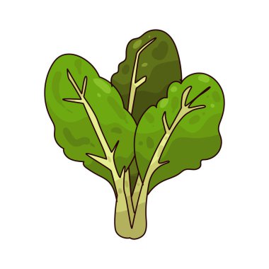 Marul taze dokusunda sıklıkla salatalarda ve sandviçlerde kullanılan gevrek yapraklı yeşil bir sebzedir..