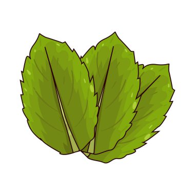 Nane, serin bir tadı olan ferahlatıcı bir bitkidir. İçeceklerde, tatlılarda ve lezzetli yemeklerde kullanılır..