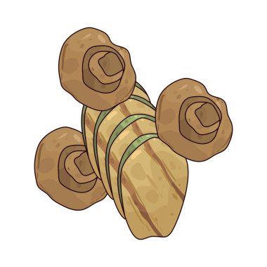 Grilled Vegetables are seasoned and cooked over heat to bring out their natural flavors and nutrients.