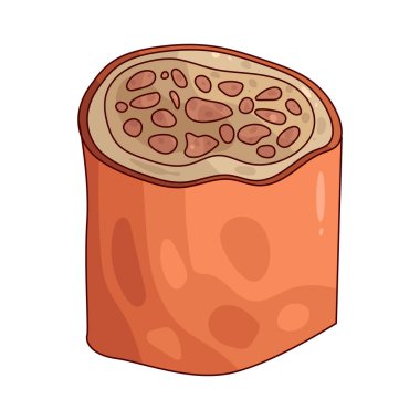 Bone Marrow is the soft tissue inside bones where blood cells are produced.