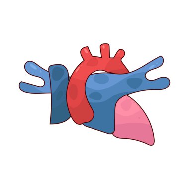 Akciğer atardamarı oksijen açısından zayıf kanı kalpten akciğerlere taşır..