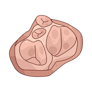 Kalp kapakçığı, kalp odalarına tek yönlü kan akışını sağlar ve geri akışı engeller..