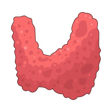 Thyroid, boynunda hormon üretimi yoluyla metabolizmayı düzenleyen bir bezdir..