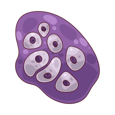  Kıkırdak Hücre, ya da kondroksit, eklemleri yastıklayan esnek dokunun üretilmesinden ve korunmasından sorumludur..