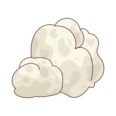 A Cotton Pad is a soft disc used for applying toner or removing makeup.