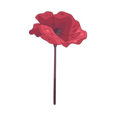  Haşhaş, tohum ve ağrı kesici ilaçlarda kullanılan doğal bileşiklerle bilinen bir bitkidir..