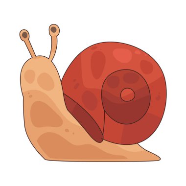  Salyangoz, sarmal kabuklu yavaş hareket eden bir hayvandır..