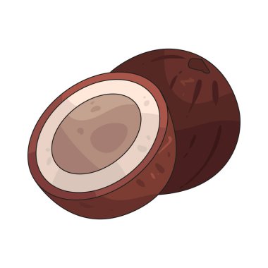 Hindistan cevizi sert kabuklu ve tatlı, ferahlatıcı suyu olan tropikal bir meyvedir.