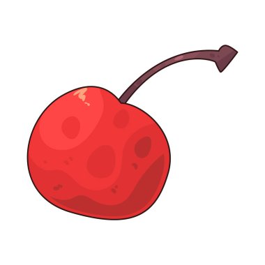 Ekşi Kiraz, genellikle turta, reçel ve meyve sularında kullanılan bir tart meyvesidir..