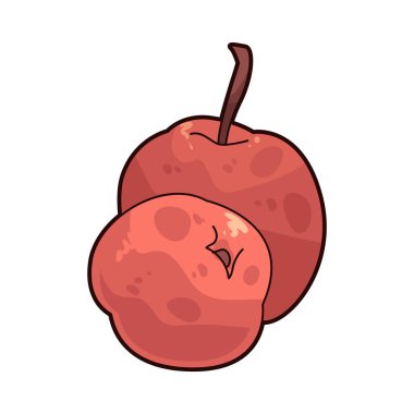 Barbados Cherry, son derece yüksek C vitamini içeriğiyle bilinen parlak kırmızı bir meyvedir..