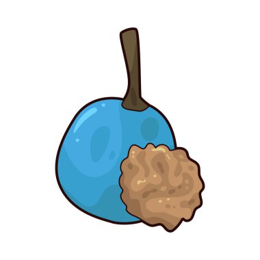 Mavi Quandong, ekşi, aromatik bir tadı olan parlak mavi bir meyvedir..