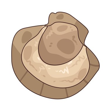 Deniz tarağı sashimi, hafif tatlı dilimlerle servis edilen çiğ deniz tarağıdır..