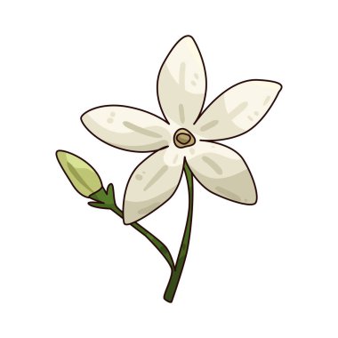 Yasemin, tatlı kokusu ve saflık ve şefkat sembolü ile tanınan hoş kokulu bir çiçektir..