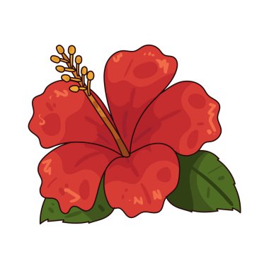 Hibiscus cesur taç yaprakları, güzelliği, neşeyi ve enerjik enerjiyi sembolize eden tropik bir çiçektir..