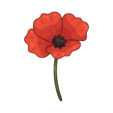  Poppy genellikle hatıra, barış ve dayanıklılığı temsil eden renkli ve narin bir çiçektir..