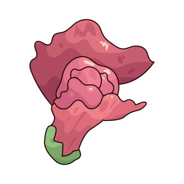 Aslanağzı çiçeği, ejderhanın ağzına benzeyen ve gücü ve zarafeti simgeleyen renkli bir çiçektir..