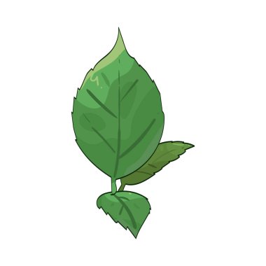 Yeşil yaprak, canlı yeşil rengiyle bilinen taze ve sağlıklı bir bitki yaprağıdır..